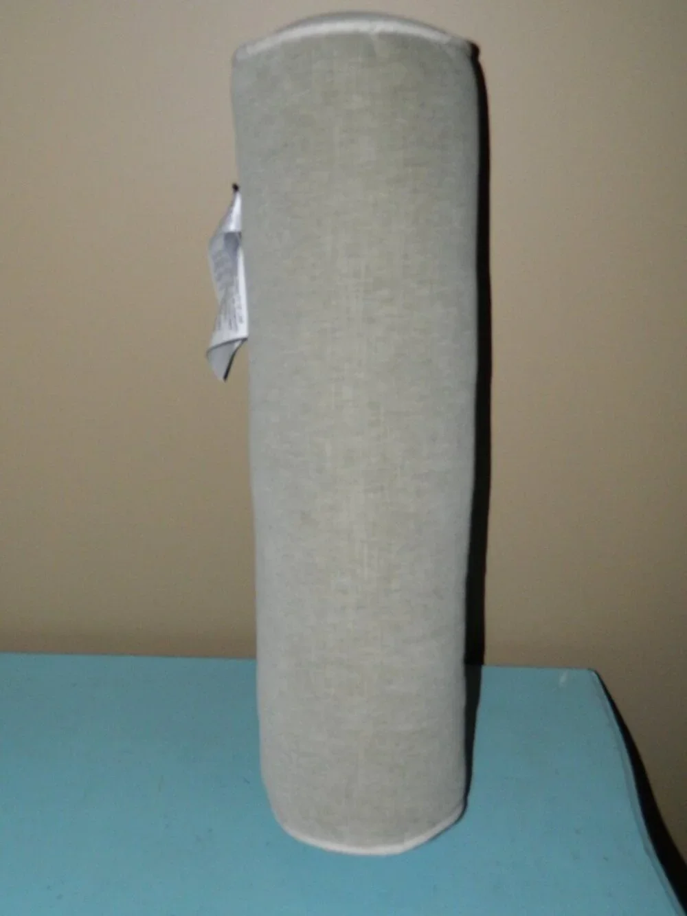West Elm Classic Cotton Velvet Bolster Pillow NWT